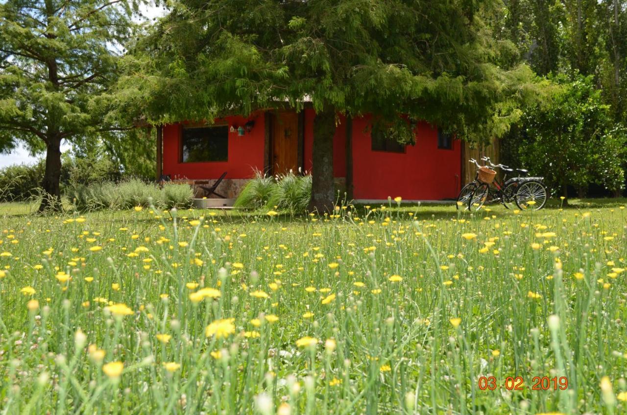 Cabana La Toscana Carmelo Buitenkant foto